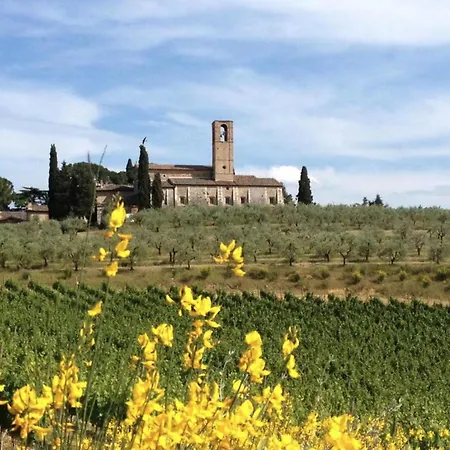 Historic Overlooking San Gimignano
