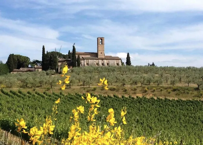 Historic Overlooking San Gimignano